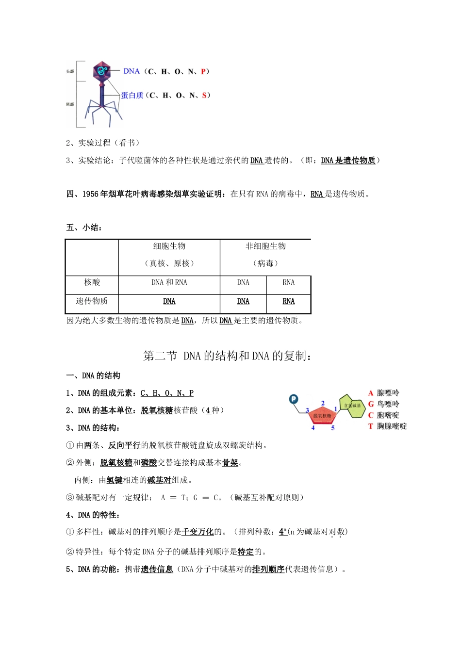 高中生物 第四章《遗传的分子基础》复习提纲素材 苏教版必修2_第2页