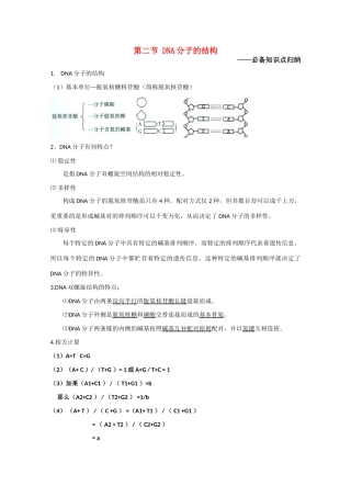 高中生物《DNA分子的结构》文字素材2 新人教版必修2