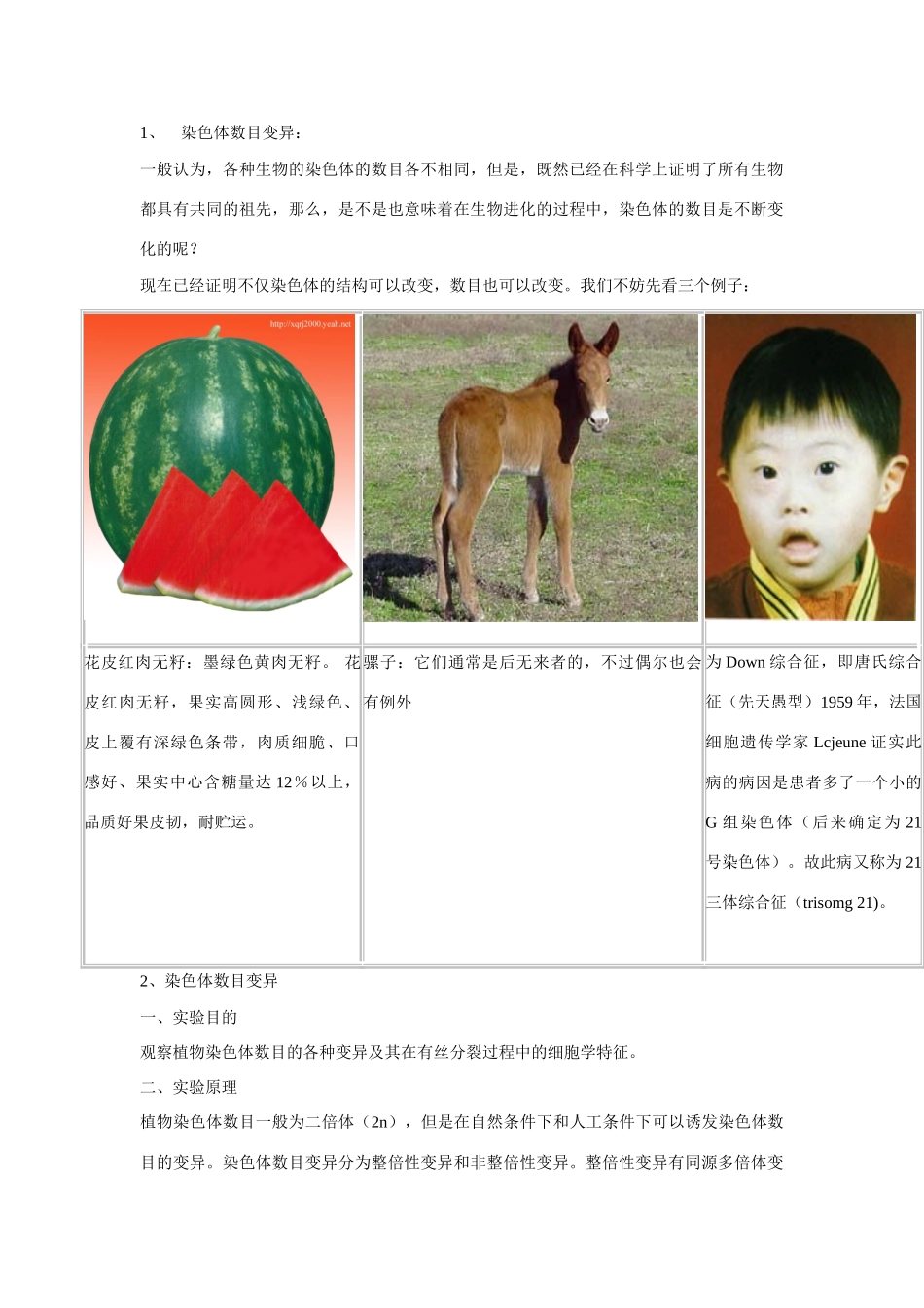 高中生物《染色体数目变异对性状的影响》文字素材1 中图版必修2_第1页