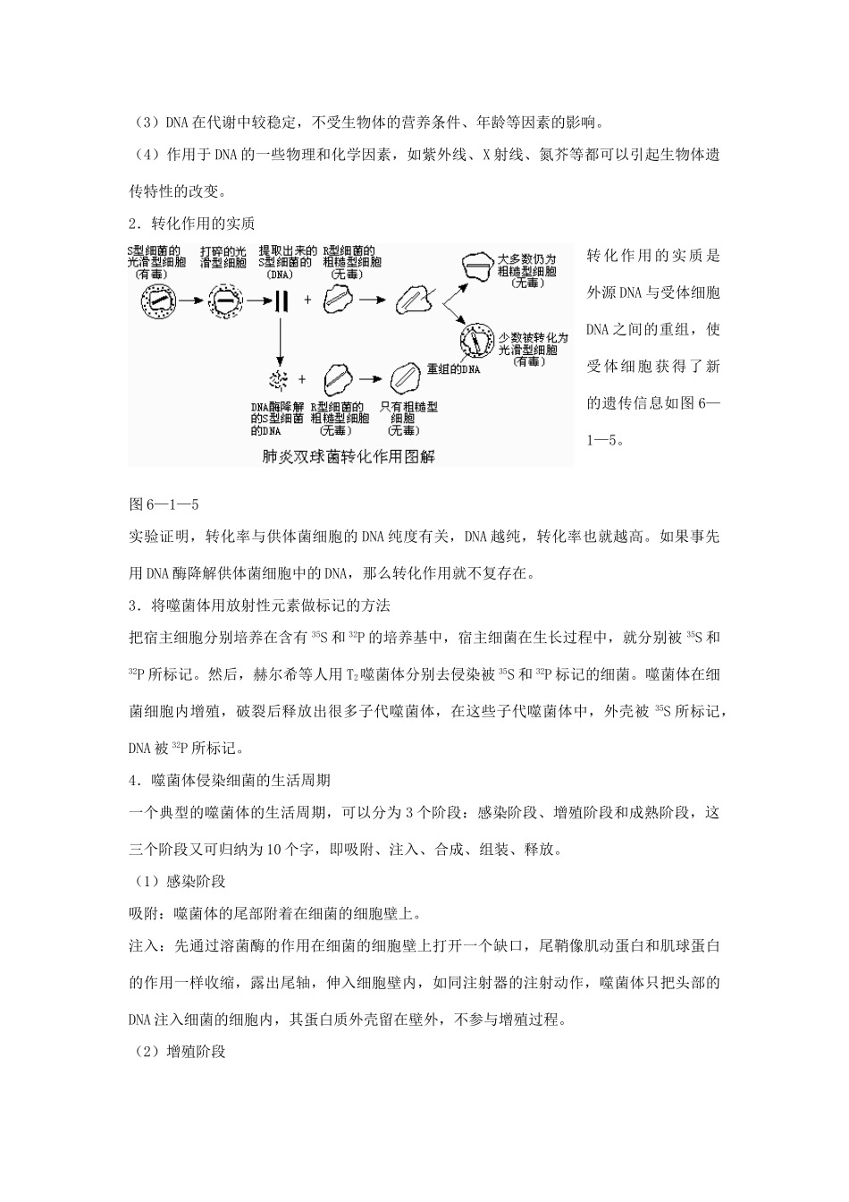 高中生物《探索遗传物质的过程》素材1 苏教版必修2_第2页