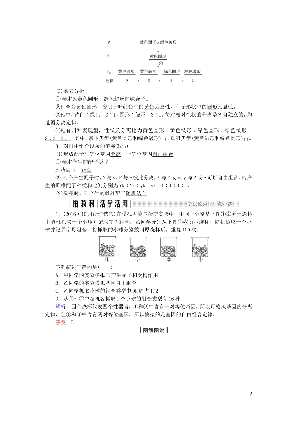 高中生物 第一章 孟德尔定律 第4课时 自由组合定律（Ⅰ）同步备课教学案 浙科版必修2-浙科版高一必修2生物教学案_第2页