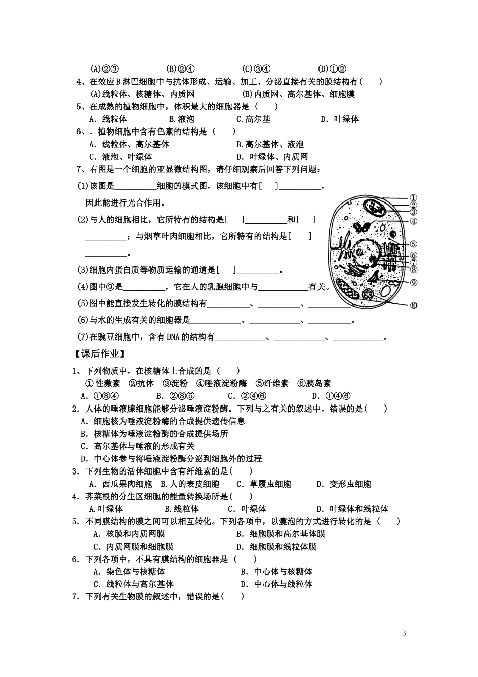 高中生物 细胞器--系统内的分工合作导学案 新人教版必修1_第3页