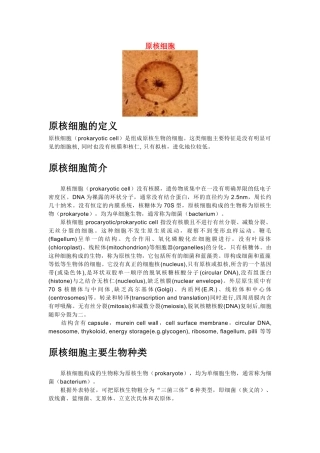 高中生物《原核细胞》文字素材1 浙教版必修1