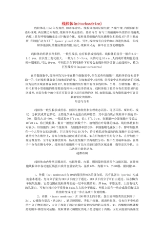 高中生物《蛋白质的合成与运输》素材1 中图版必修1