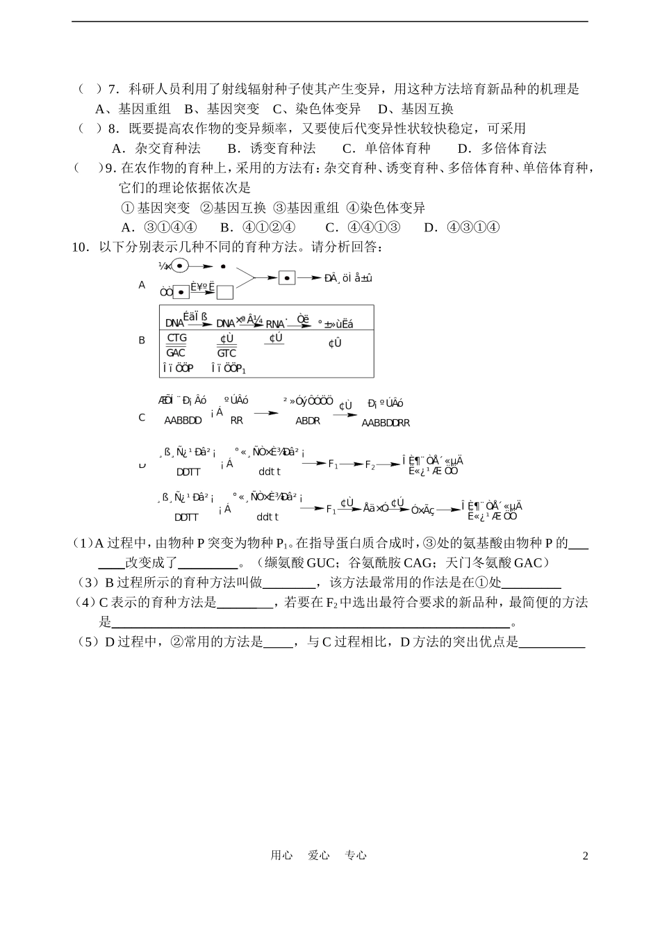 高中生物《杂交育种与诱变育种》学案1 新人教版必修2_第2页
