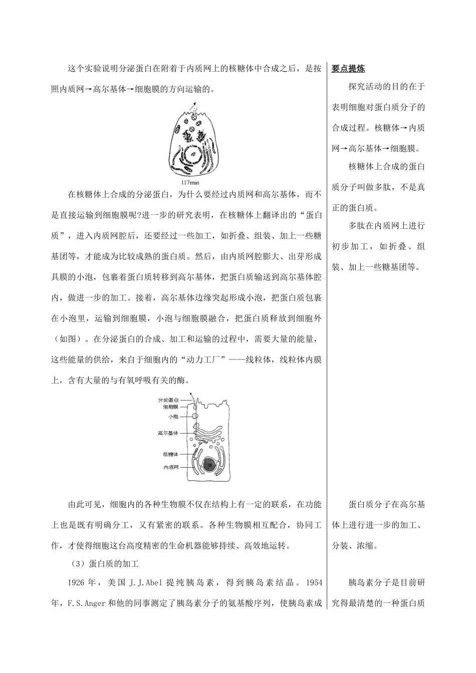 高中生物《蛋白质的合成与运输》素材2 中图版必修1_第2页