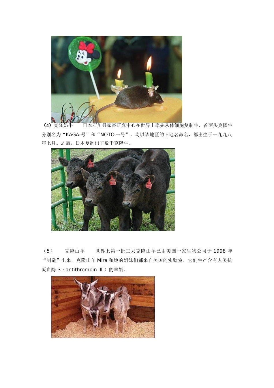 高中生物《什么是克隆》素材1 浙教版选修3_第2页