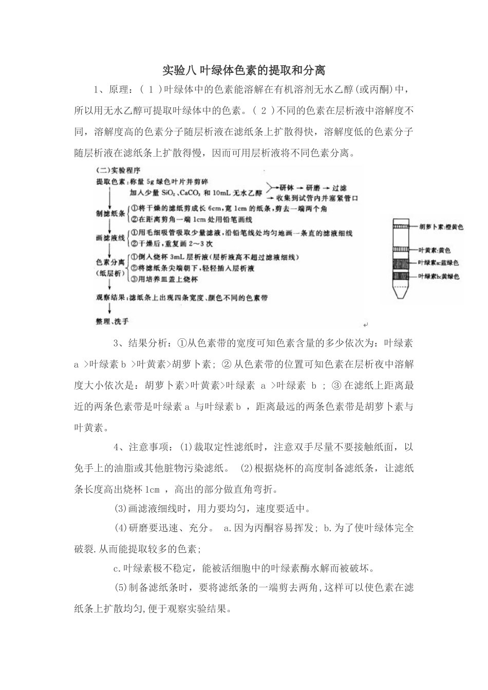 高中生物必修1实验：叶绿体色素的提取和分离_第1页