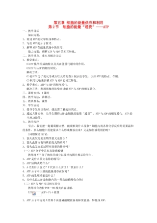 高中生物（板书设计+基础练习+变式训练） 5.2《细胞的能量“通货” ATP》教案 新人教版必修1