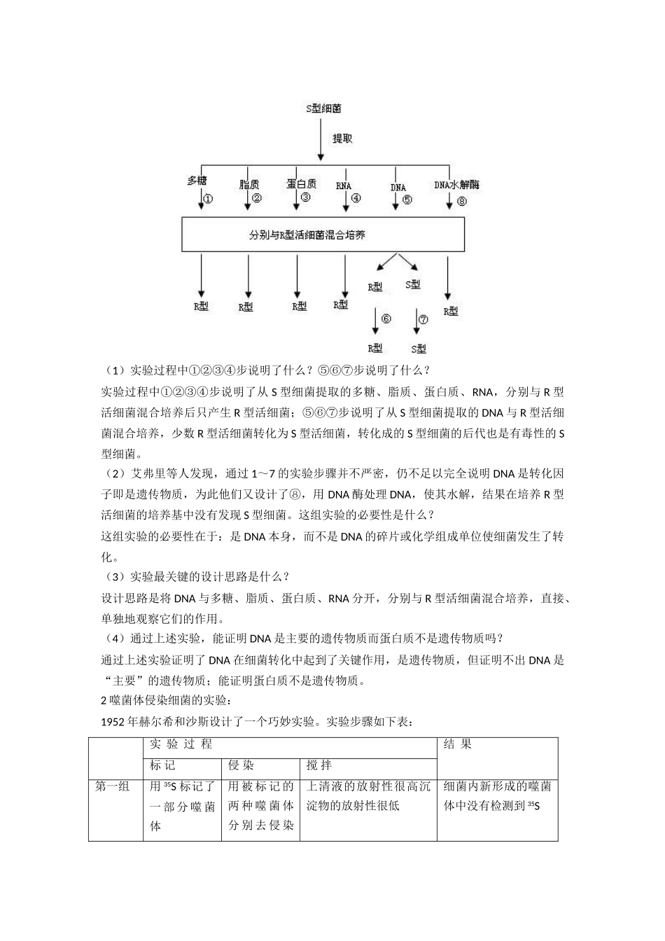 高中生物： 31 核酸是遗传物质的证据（教案）浙科版必修2_第3页