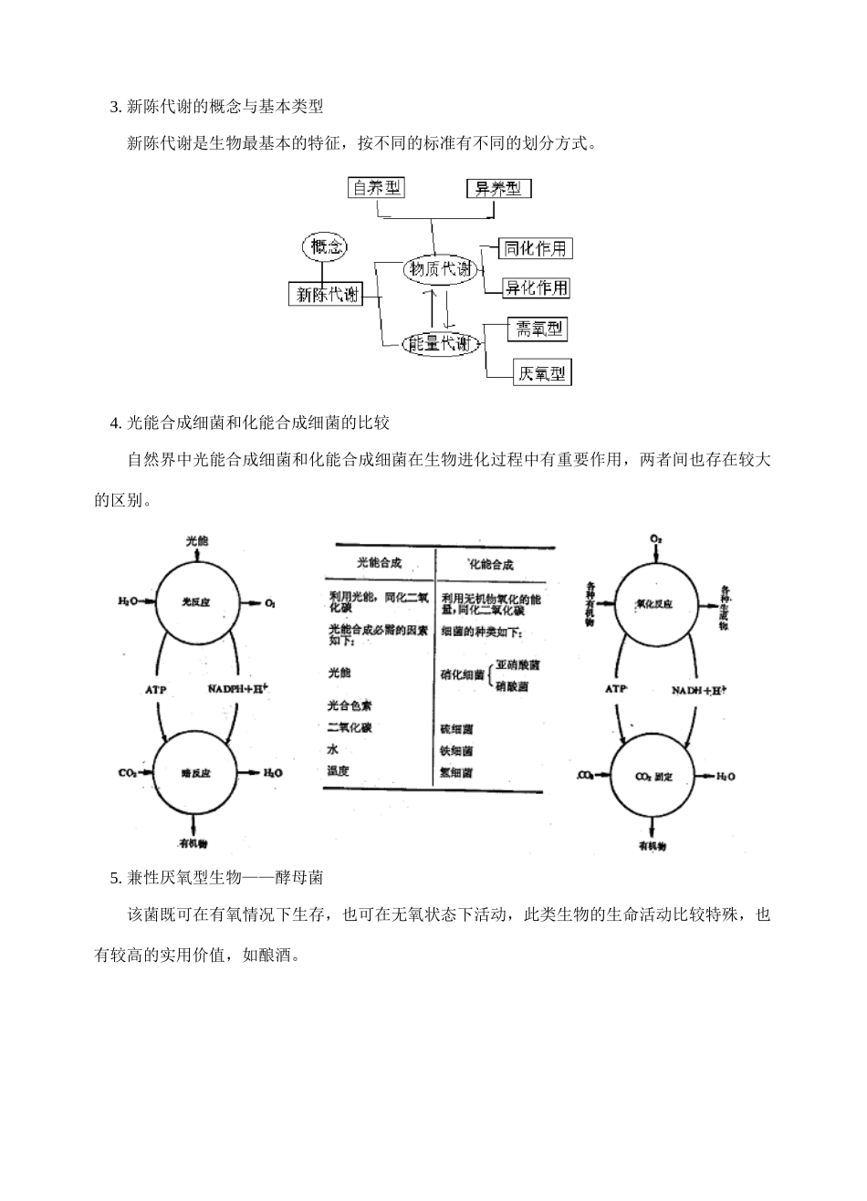 高中生物复习教案：呼吸作用、新陈代谢的基本类型_第2页