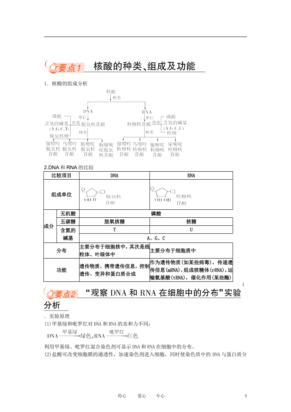 高中生物复习课 2-3  细胞中的核酸糖类和脂类同步学案 新人教版必修1_第1页