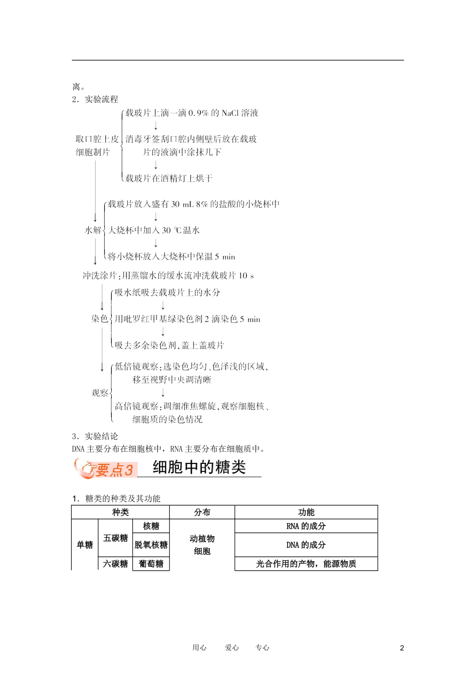 高中生物复习课 2-3  细胞中的核酸糖类和脂类同步学案 新人教版必修1_第2页
