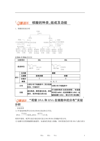 高中生物复习课 2-3  细胞中的核酸糖类和脂类同步学案 新人教版必修1