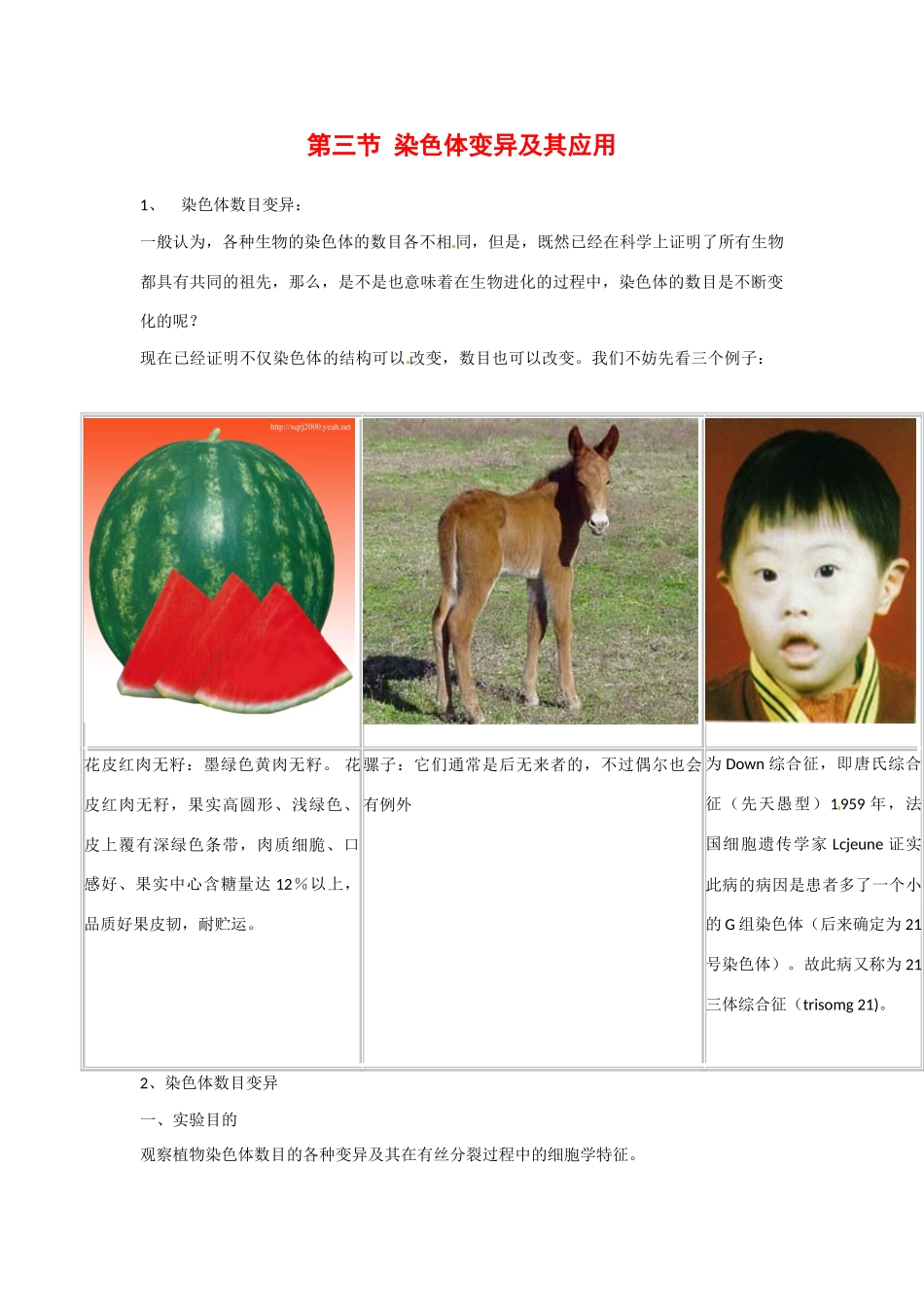 高中生物： 33 染色体变异及其应用（素材）苏教版必修2_第1页