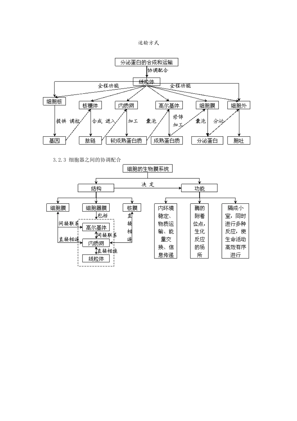 高中生物教学必备 细胞的基本结构概念图汇编_第3页