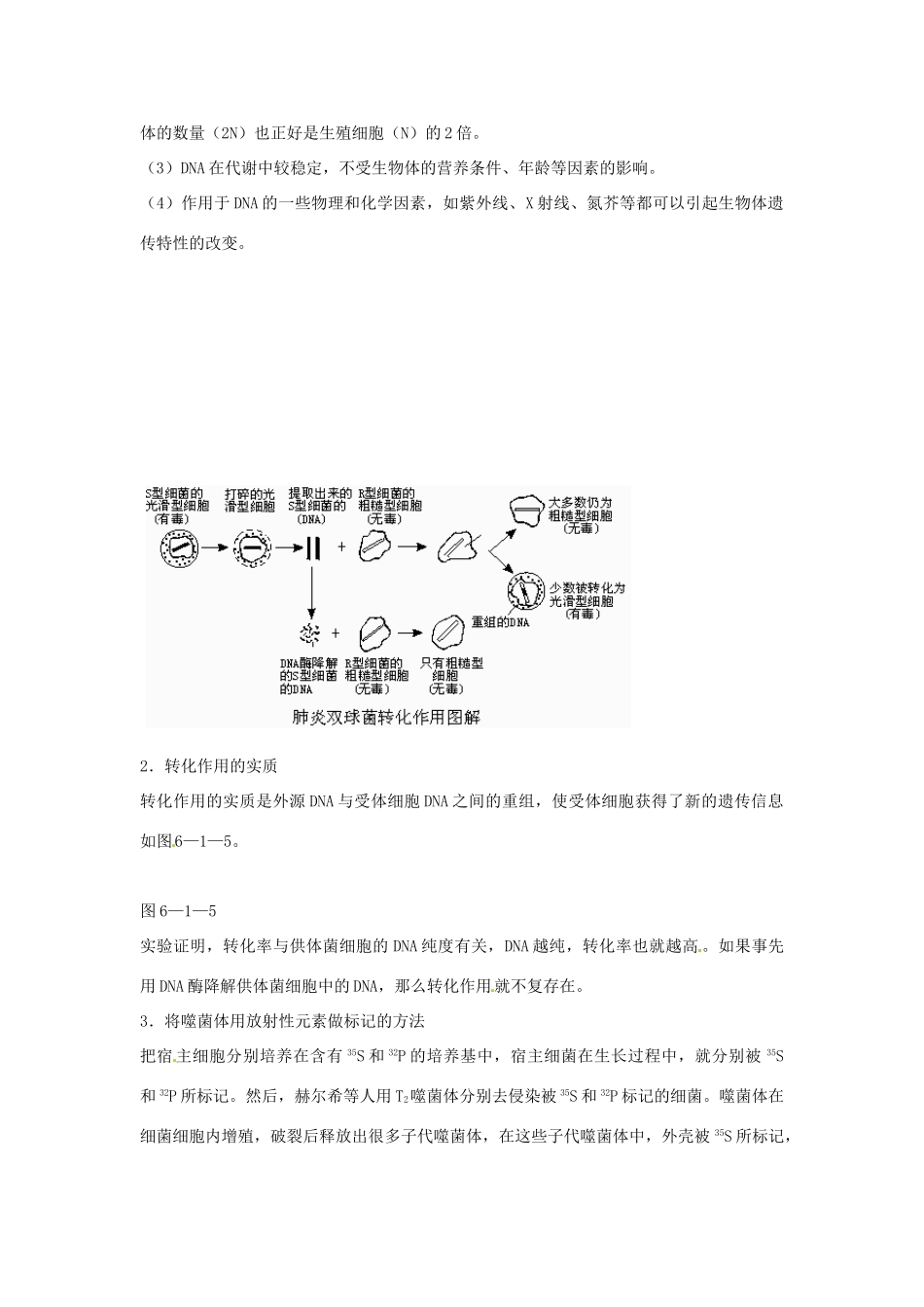 高中生物： 41 探索遗传物质的过程（素材）苏教版必修2_第2页