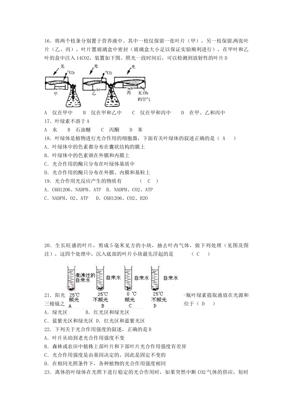 高中生物： 42 光合作用（单元测试题）苏教版必修1_第3页
