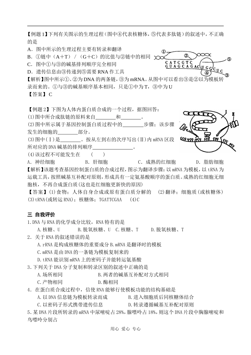 高中生物第三章  遗传的分子基础（RNA和蛋白质合成第一课时）学案_第3页