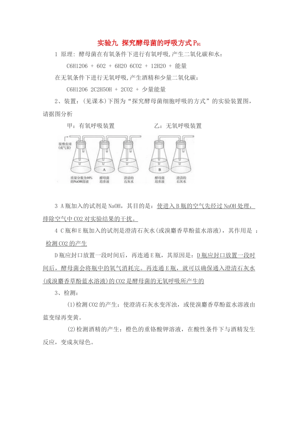 高中生物实验素材 探究酵母菌的呼吸方式 新人教版必修1_第1页