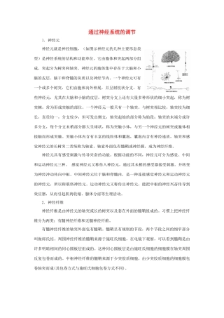 高中生物《通过神经系统的调节》文字素材3 新人教版必修3
