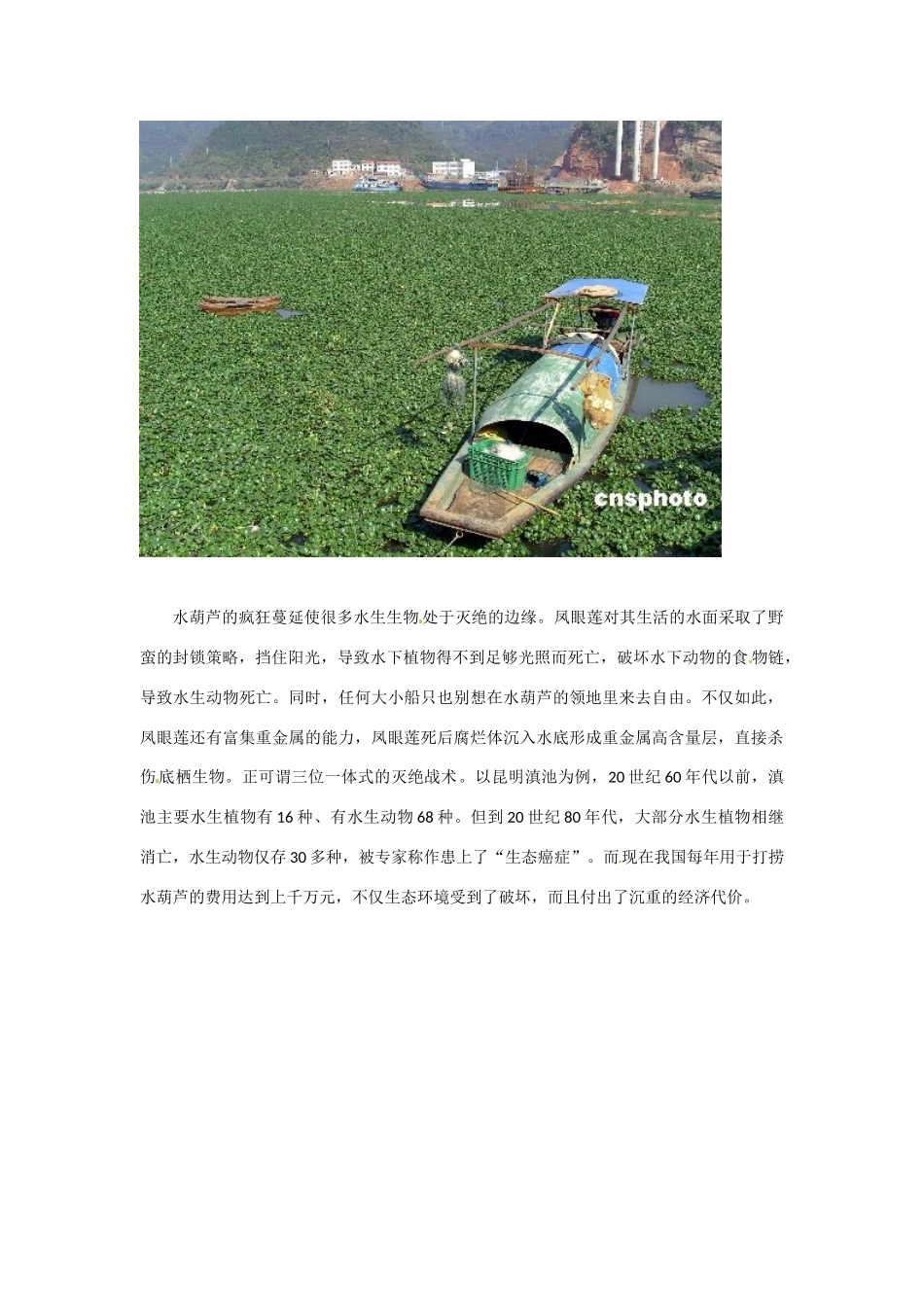 高中生物： 211 生物性污染（素材）中图版选修2_第2页