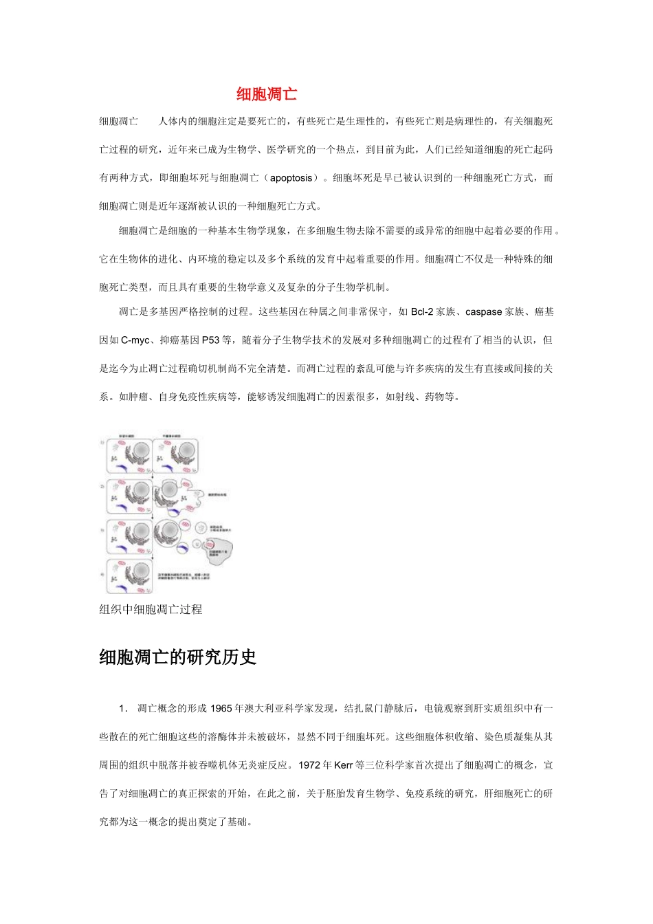 高中生物《细胞的衰老和凋亡》文字素材2 浙教版必修1_第1页