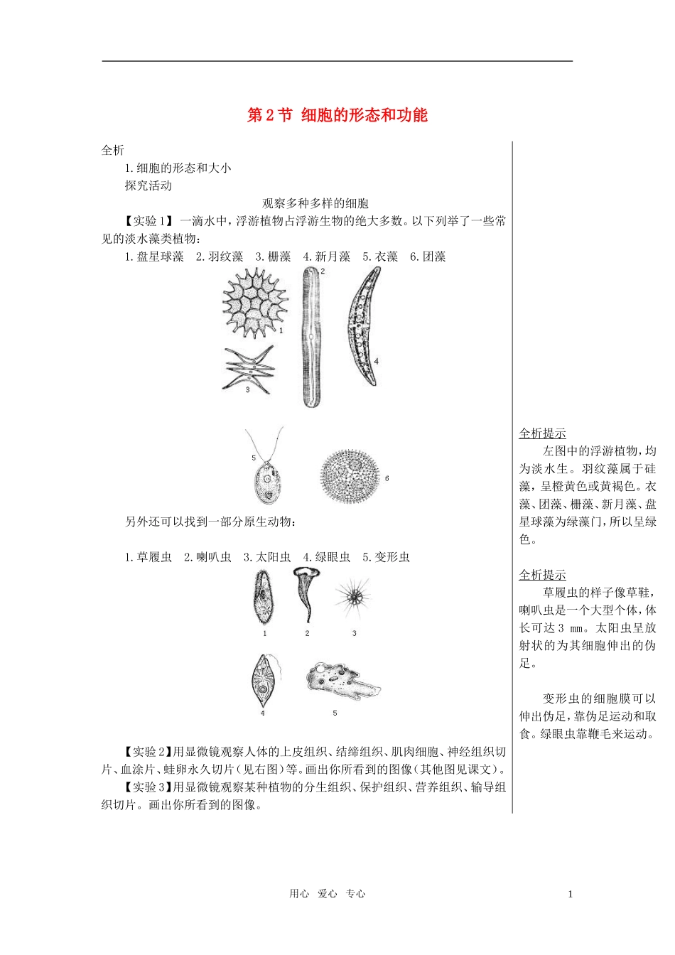 高中生物《细胞的形态和功能》学案3 中图版必修1_第1页