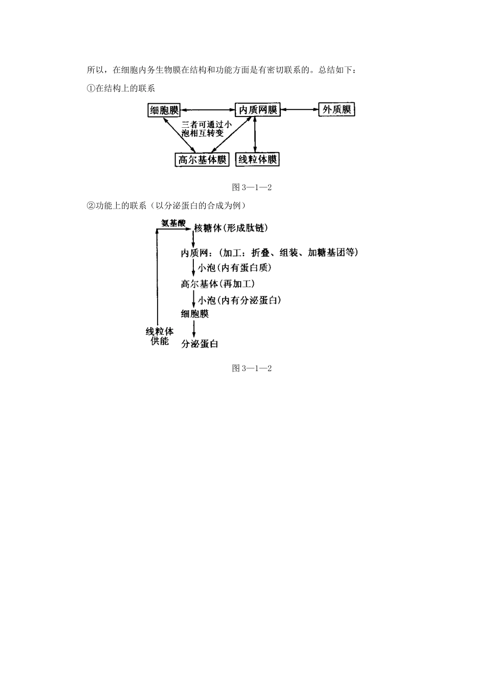 高中生物《细胞膜的结构与功能》素材3 中图版必修1_第2页