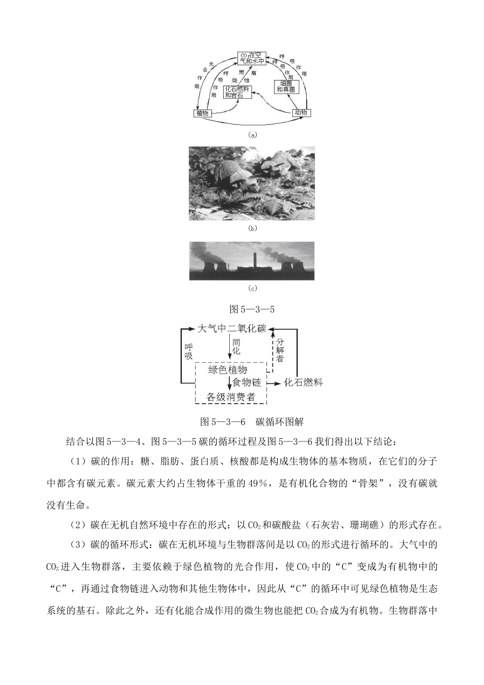 高中生物生态系统的物质循环 教材分析 新课标 人教版 必修3_第3页