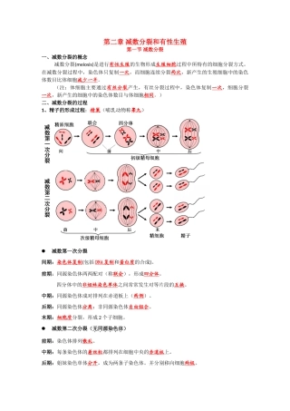 高中生物素材：减数分裂和有性生殖