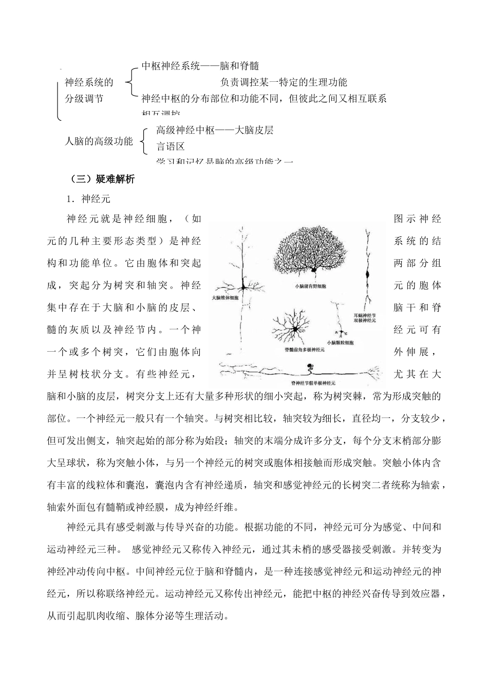 高中生物通过神经系统调节人教版必修三_第2页