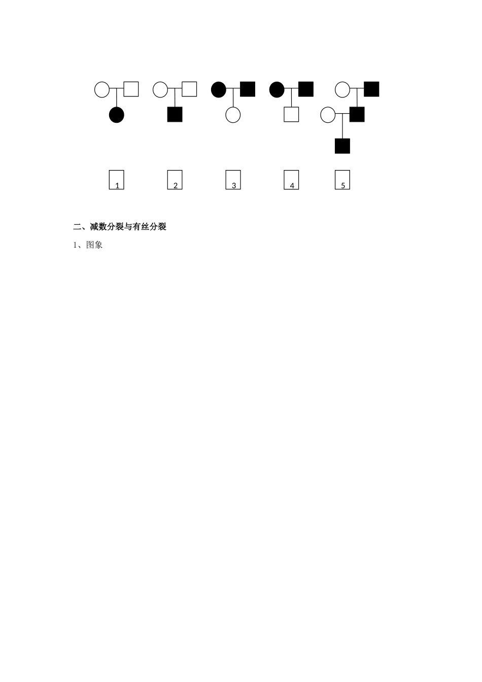 高中生物《遗传与进化》经典知识汇总文字素材 新人教版必修2_第3页