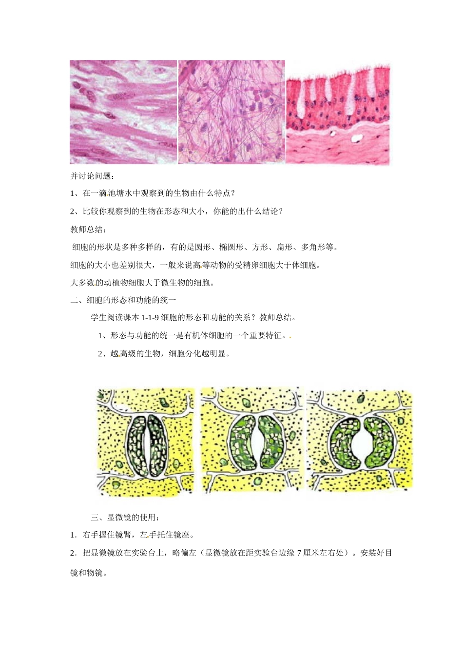 高中生物相关素材：教案：细胞的形态和功能2（中图版）必修1_第2页