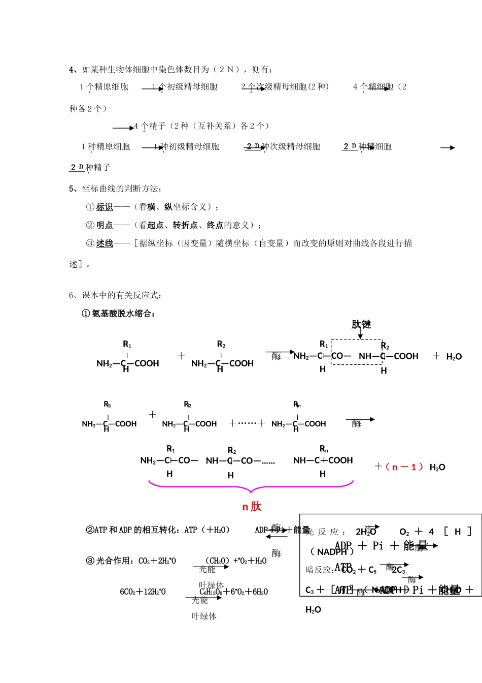 高中生物重要规律性关系及公式归纳_第2页