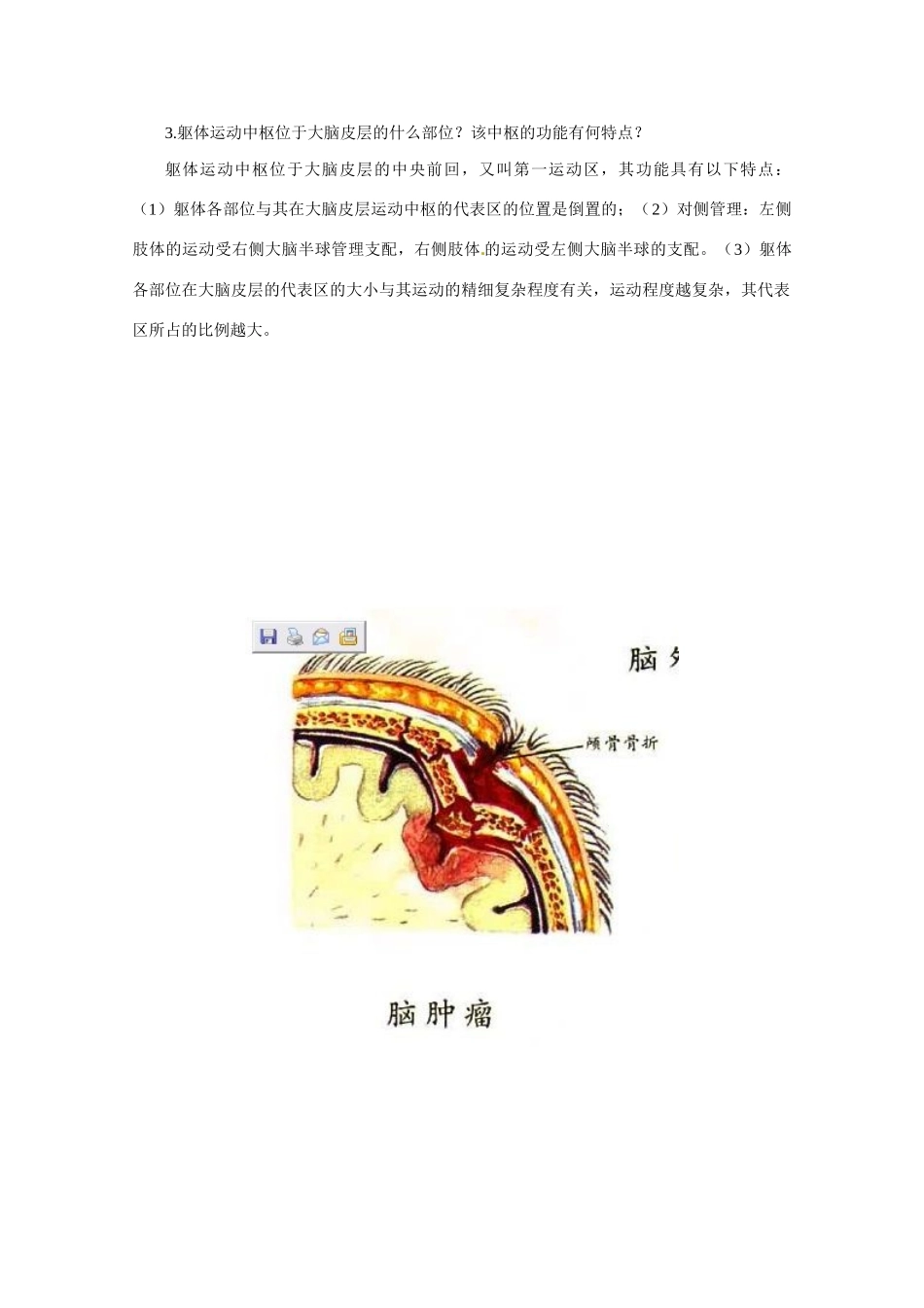 高中生物：1.3.3《人脑的高级功能》素材（1）（中图版必修3）_第2页