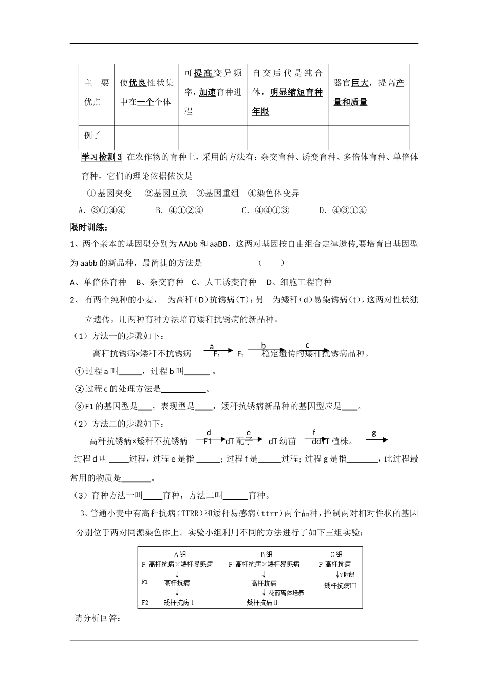 高中生物：6.1《杂交育种与诱变育种》学案（1）（新人教版必修2）_第3页