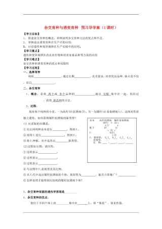 高中生物：6.1《杂交育种与诱变育种》学案（1）（新人教版必修2）