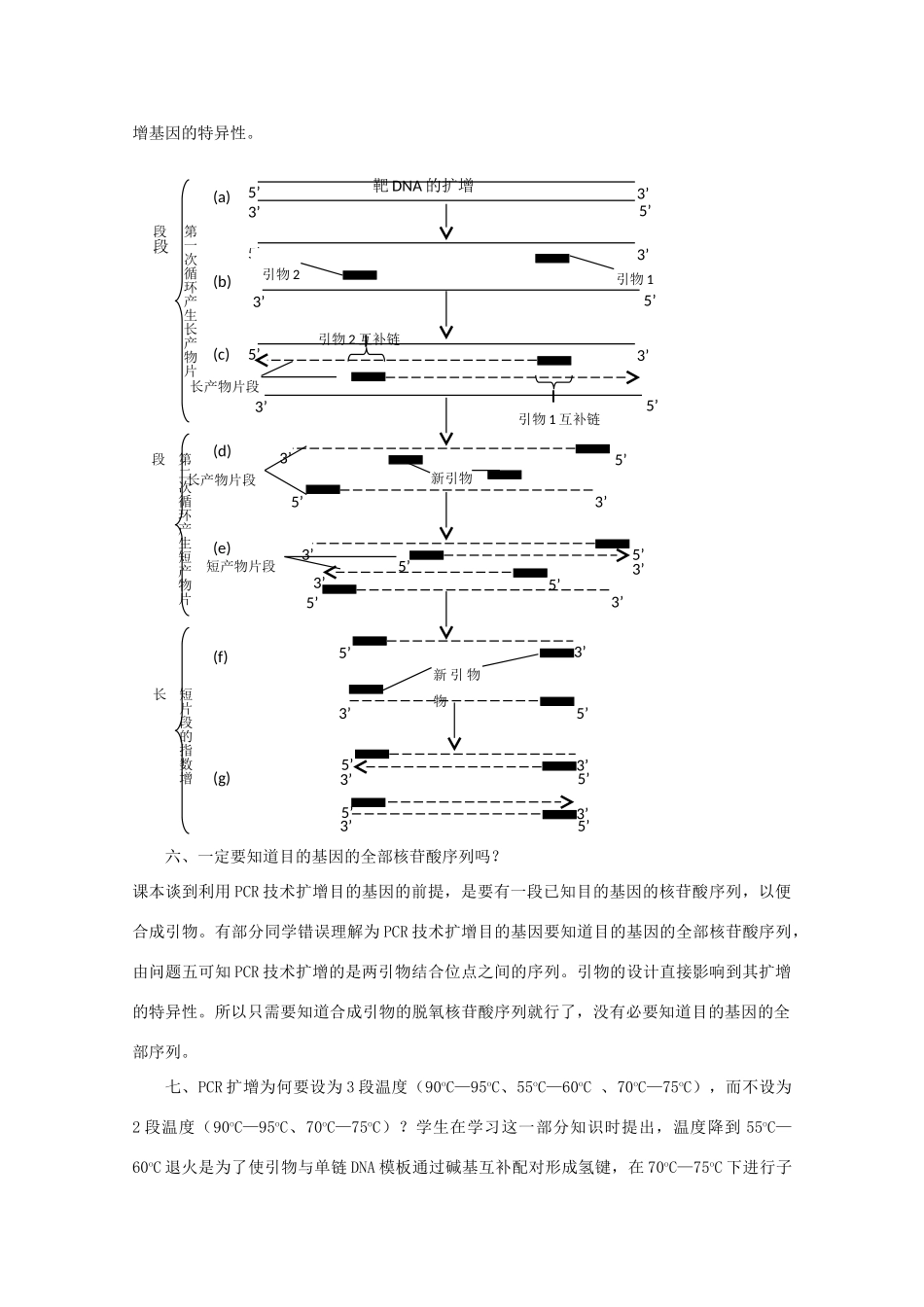 高中生物：6.2 DNA片段的扩增---PCR技术 素材（1）（中图版选修1）_第3页