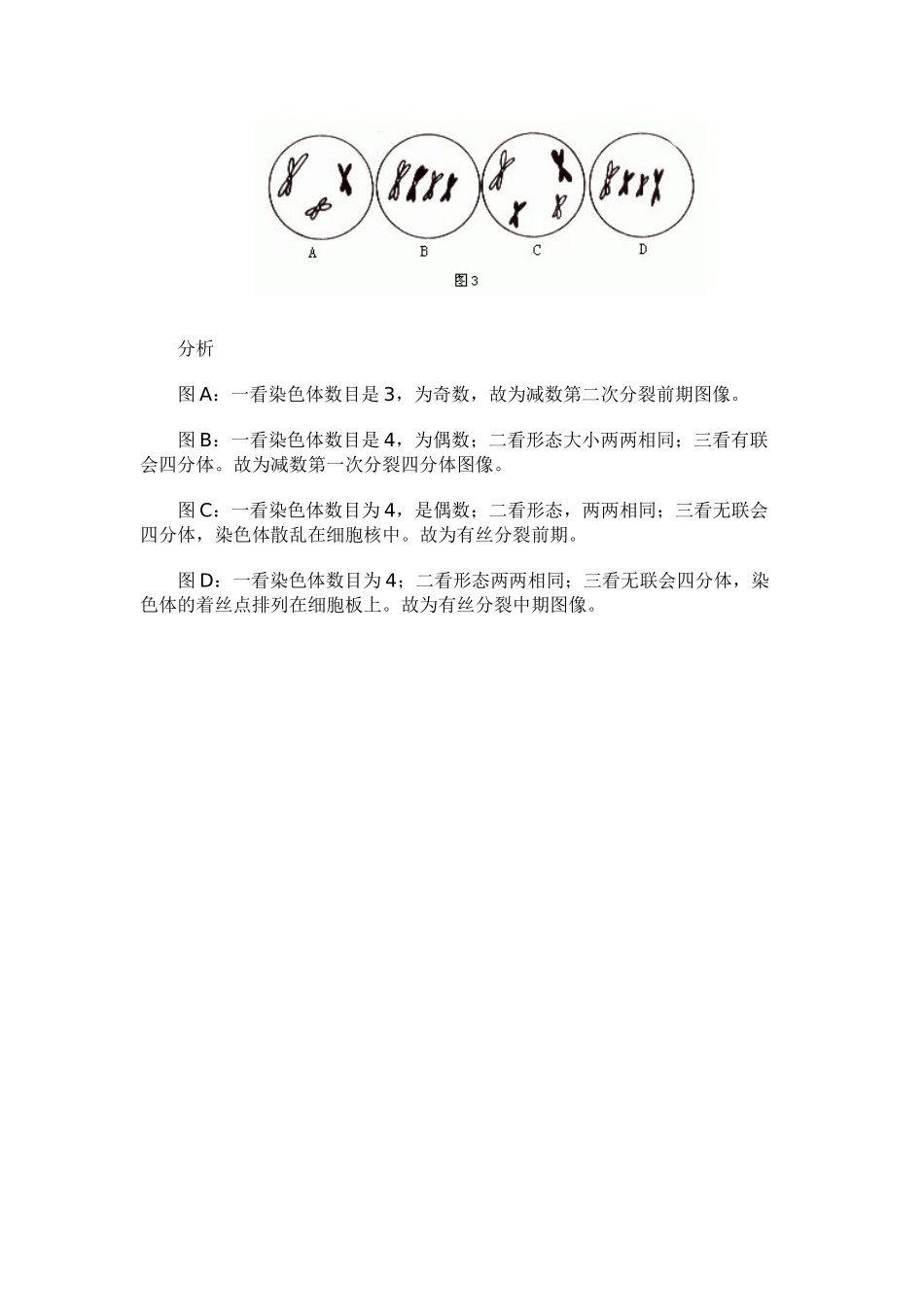 高中生物：2.1减数分裂和受精作用文字资料 新人教版必修2_第3页