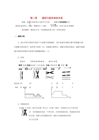 高中生物：第2章 基因和染色体的关系 素材（1）（新人教版必修2）