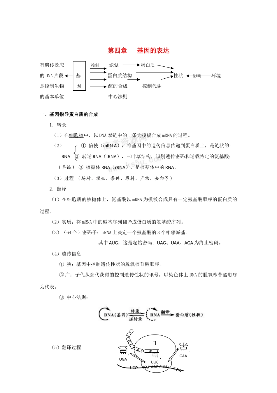 高中生物：第4章 基因的表达 素材（1）（新人教版必修2）_第1页