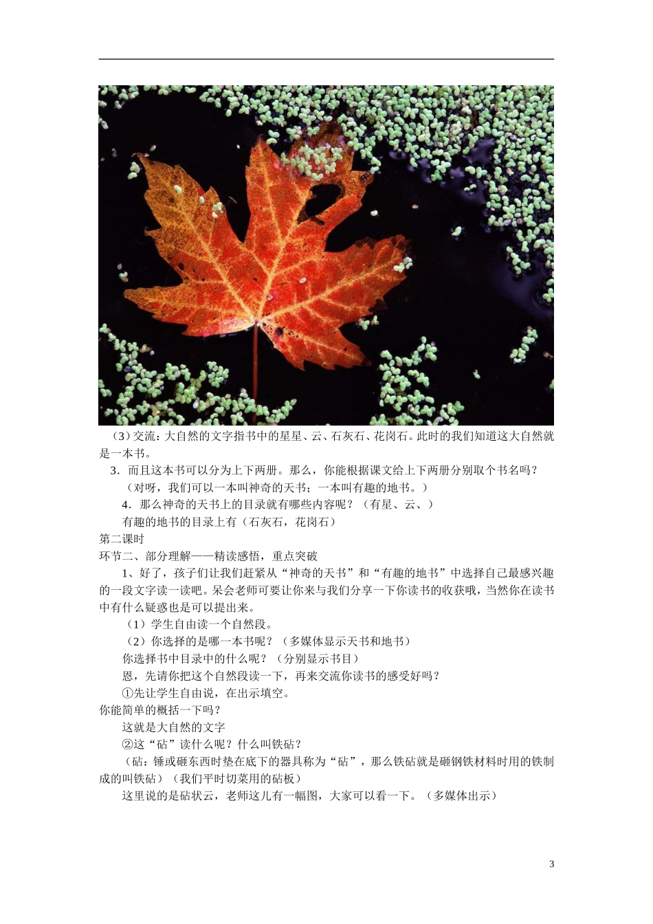 2014年秋六年级语文上册 第24课 大自然的文字教学设计6 苏教版_第3页