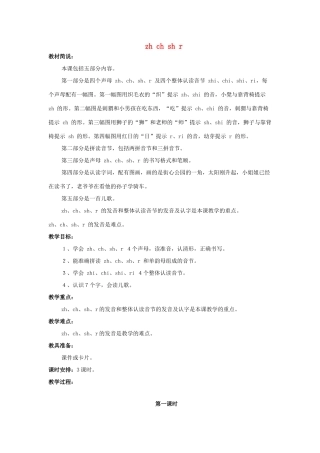 2014小升初语文知识点专项复习 专题一 基础知识 zh ch sh r教案