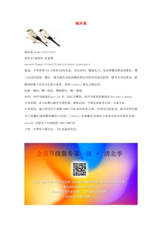 三年级语文上册 第二组 5《灰雀》褐灰雀相关阅读素材 新人教版-新人教版小学三年级上册语文素材