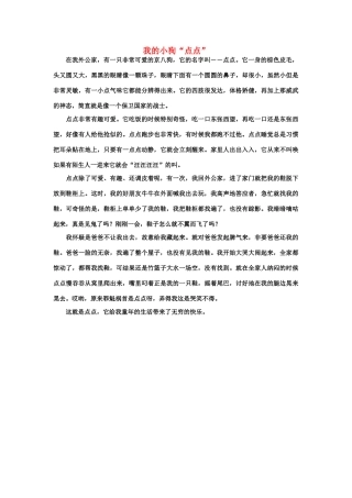 佳作欣赏：我的小狗“点点”