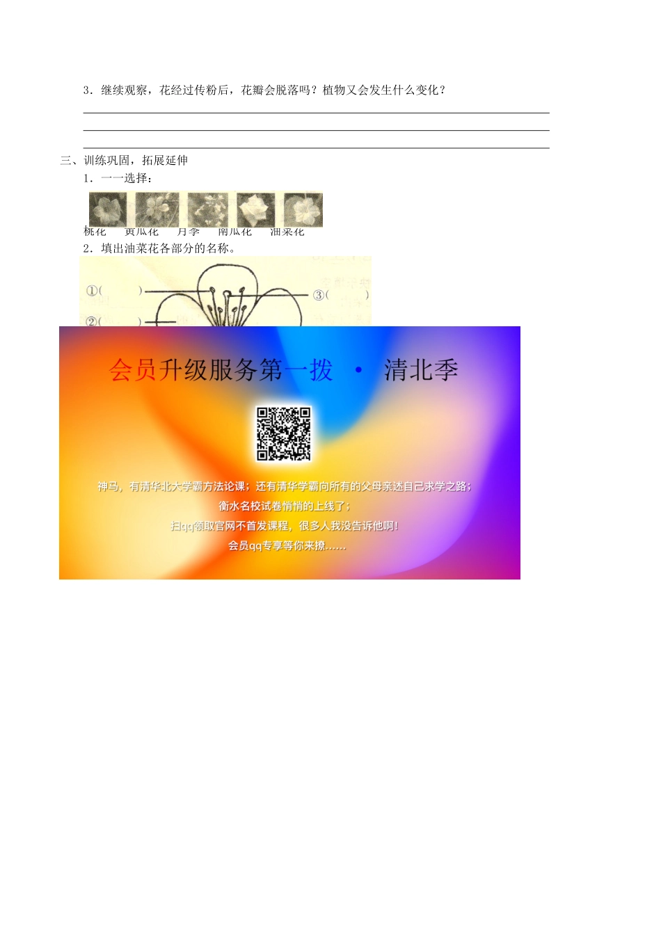 四年级科学下册 第2单元 生生不息 2.1 花开花落为哪般学案（无答案）（新版）湘科版-人教版小学四年级下册自然科学学案_第2页