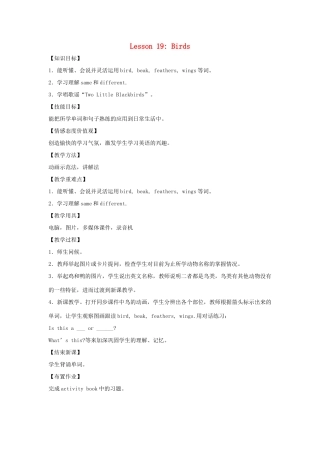 四年级英语上册 Unit 3 Animals on the Farm lessson19 Birds教案 冀教版（三起）-冀教版小学四年级上册英语教案