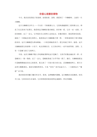 四年级语文上册 第二组单元作文范文集 选题 你留心观察的事物素材 新人教版-新人教版小学四年级上册语文素材