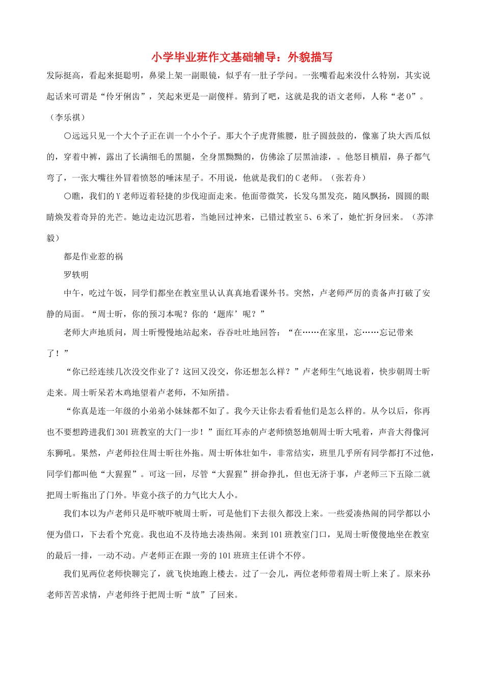 小学语文毕业班作文基础辅导 外貌描写_第1页